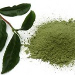 green-tea-extract