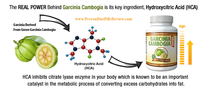 pure-garcinia-cambogia-extract