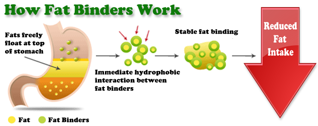 how_fat_binders_work