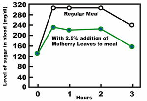 Mulberry-Diabetes