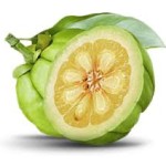 garcinia-cambogia-superfruit