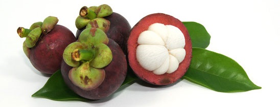 garcinia-cambogia-extract